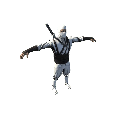 Ninja White